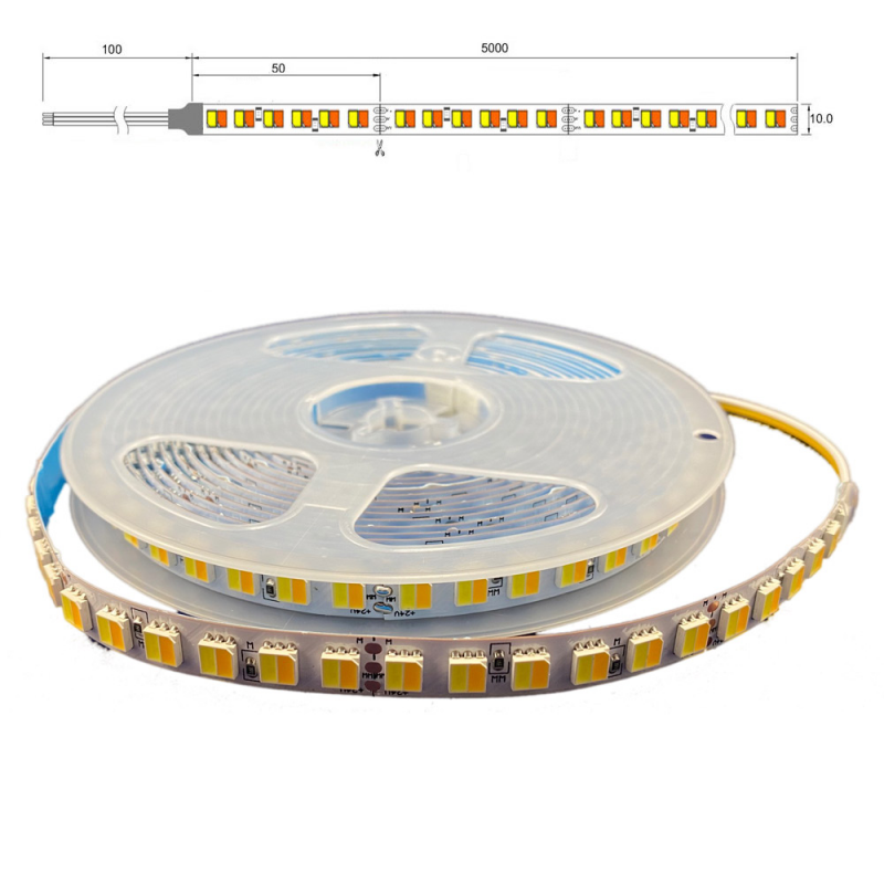 LED-Band im Silikonschlauch, LED 1163 24 V 2-pol. (monochrom), für